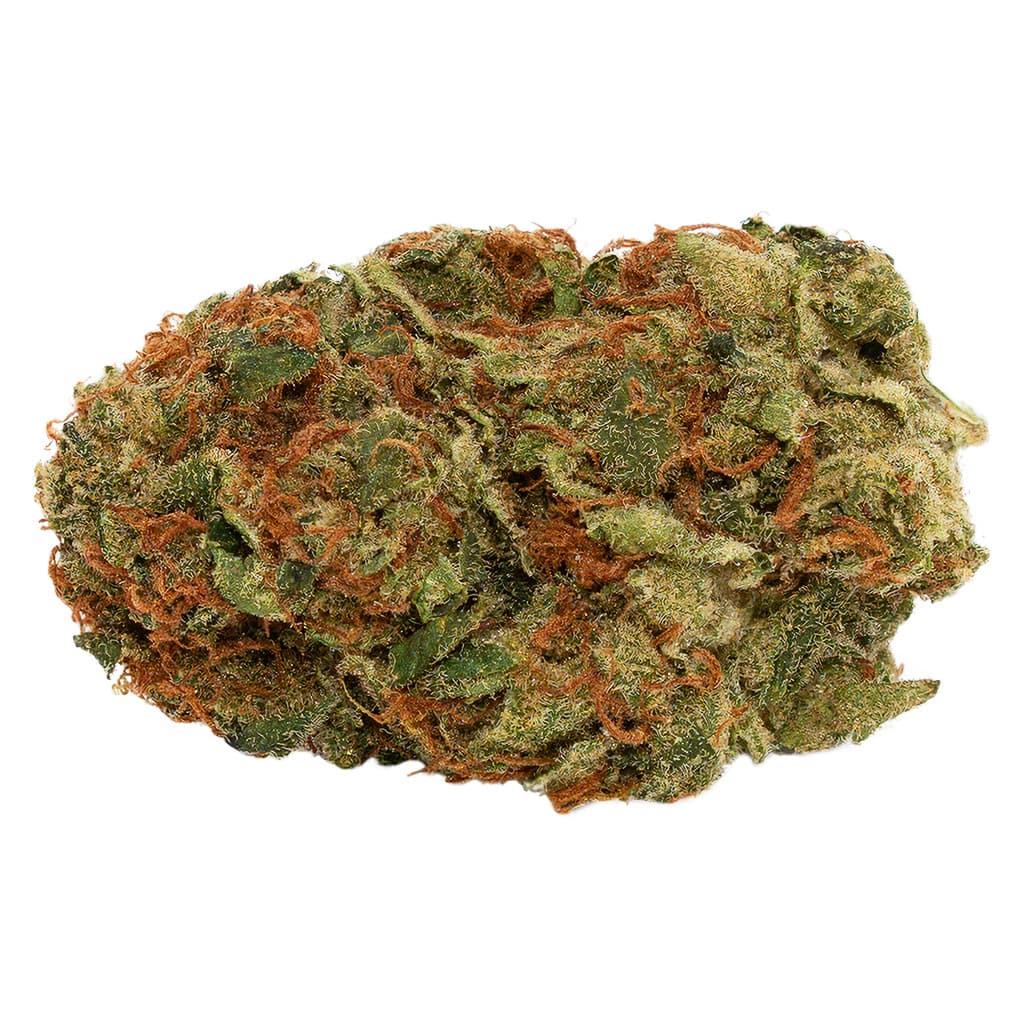 Divvy - Incredible Milk (B.Banner #3 x Tigers Milk) - 3.5g