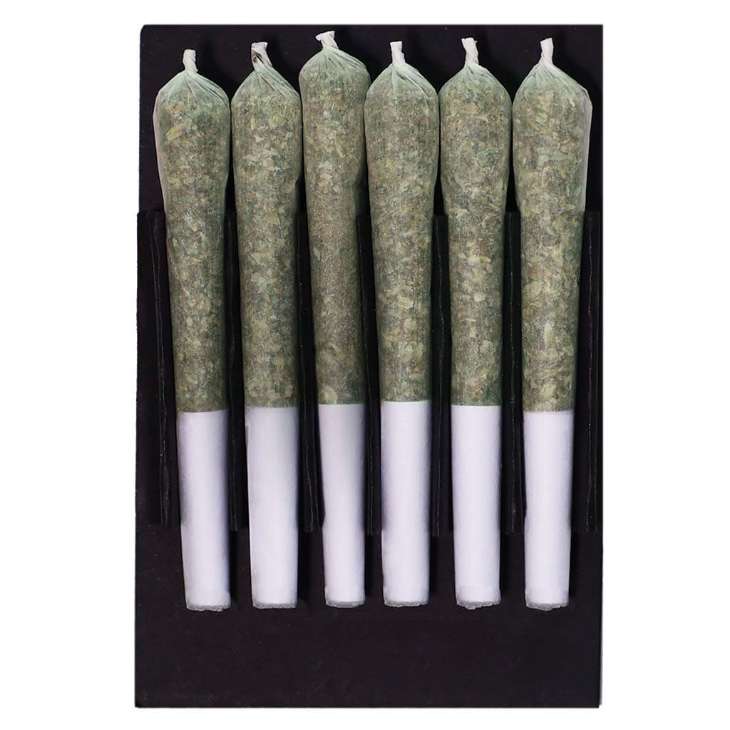 Station House - Ghost Train Haze Pre-Rolls