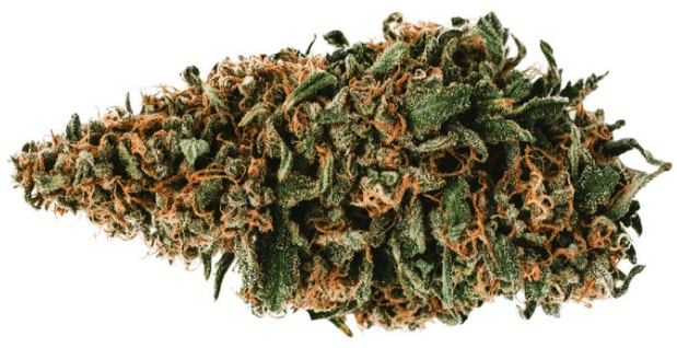 Original Stash - OS.ONE Durban Poison - 28g