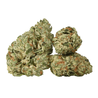 Table Top - Sticky Buns (Kush Mints x Gellati) - 28g