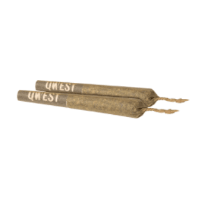 Qwest - Icicle (White Sherbet x Jet Fuel Gelato) Pre-Roll - 2x0.5g