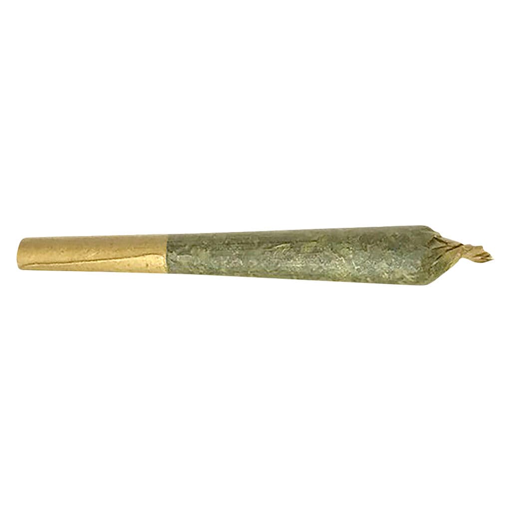 Fleurs de L'ile - Jack Herer Pre-Rolls - 7x0.5g