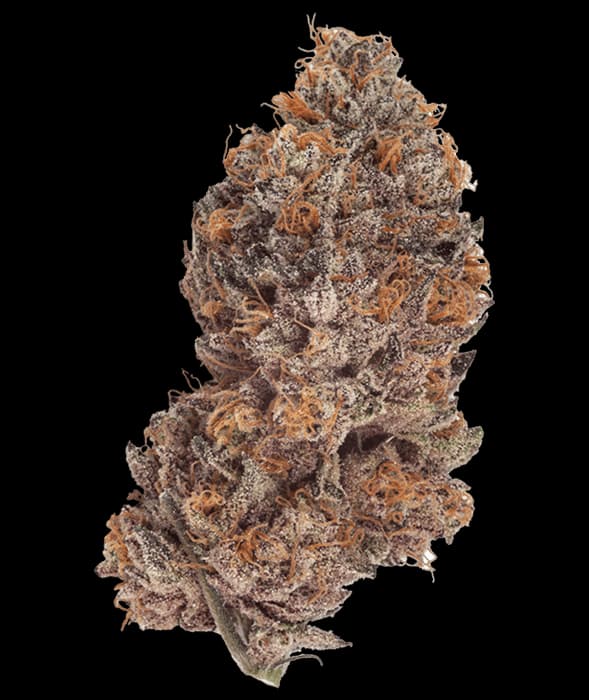 Natural History - LA Kush Cake (Wedding cake x Kush mints) - 14g