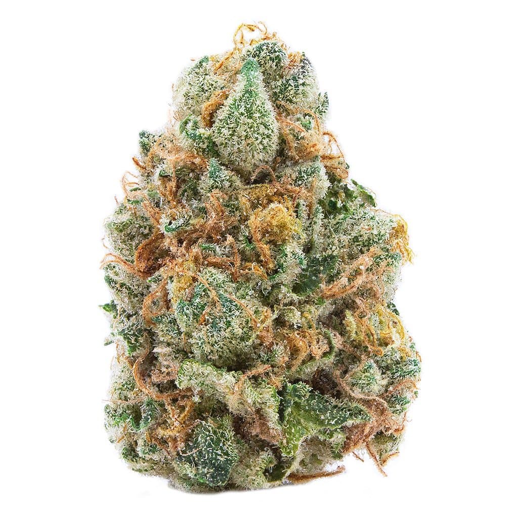 Spinach - GMO Cookies (Deep Sour Kush X GSC) - 3.5g