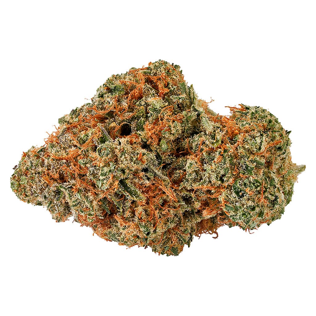 Bud Lafleur - Moby Dick (Haze x White Widow) - 3.5g