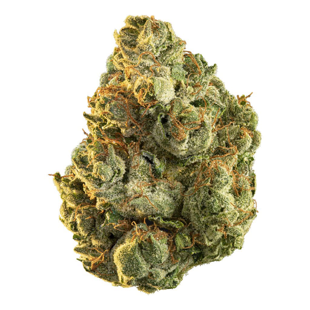 Edison - Hollywood OG (OG Kush x Unknown) - 1g