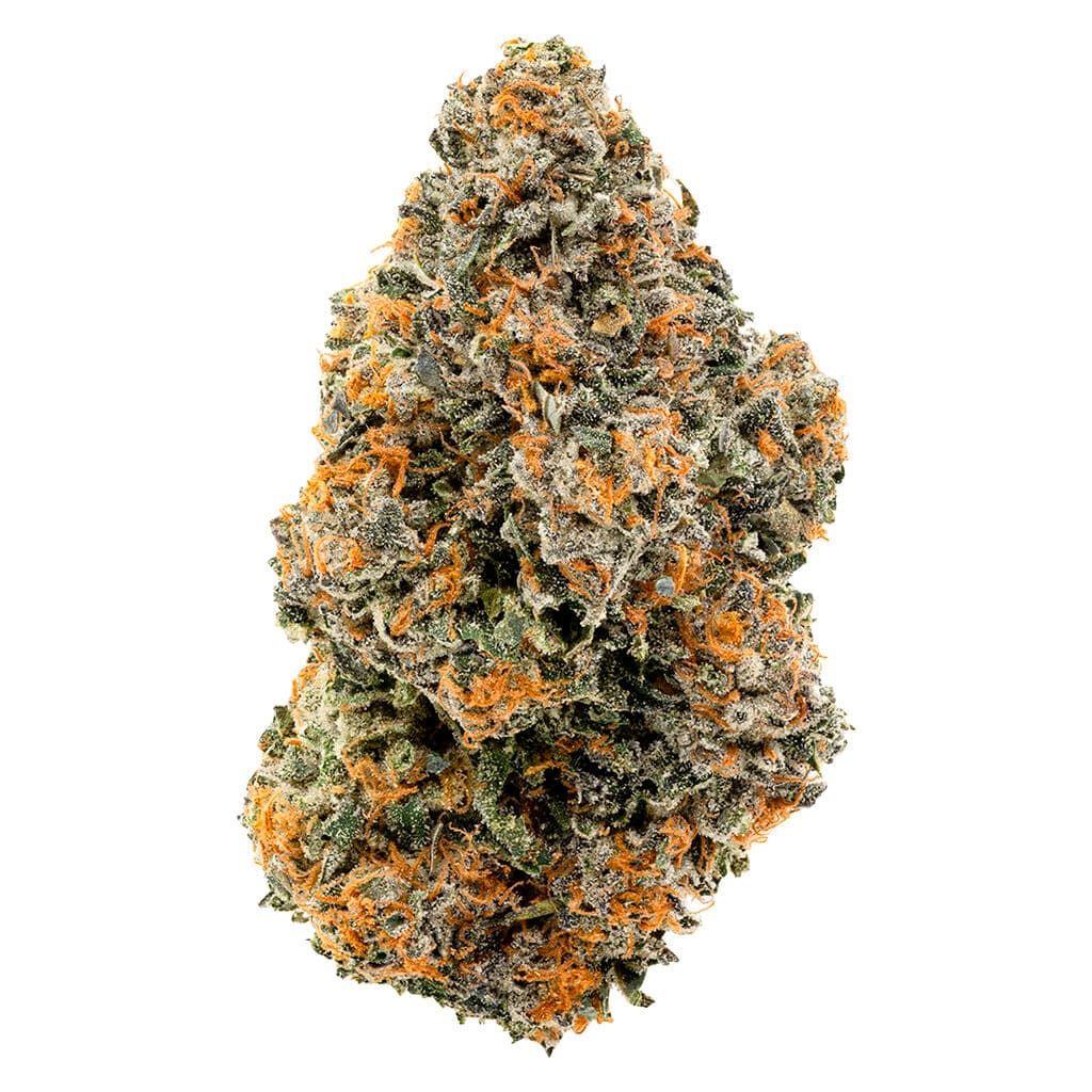 1964 - Organic Gelato #41 (Thin Mint GSC x Sunset Sherbet) - 14g