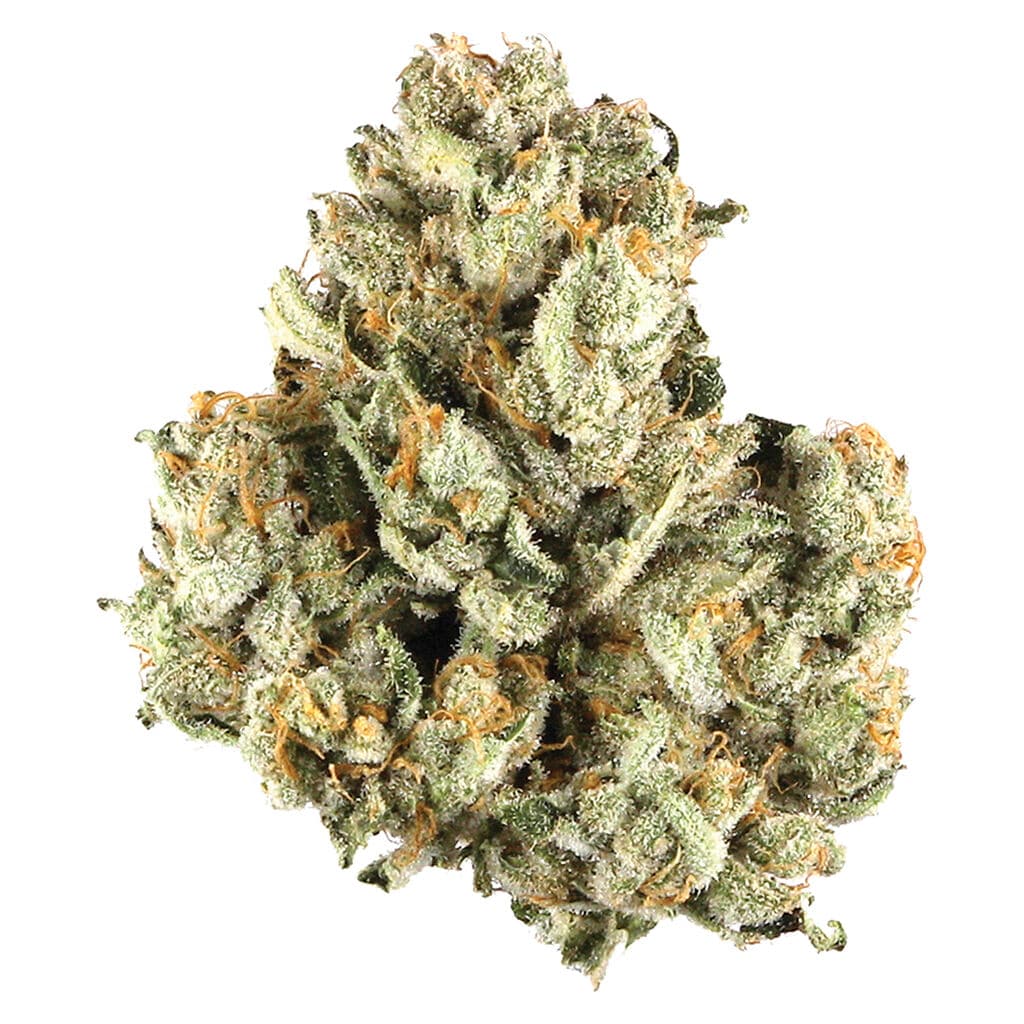 Potluck - Maple Pancakes (Kush Mints x London Pound Cake) - 7g