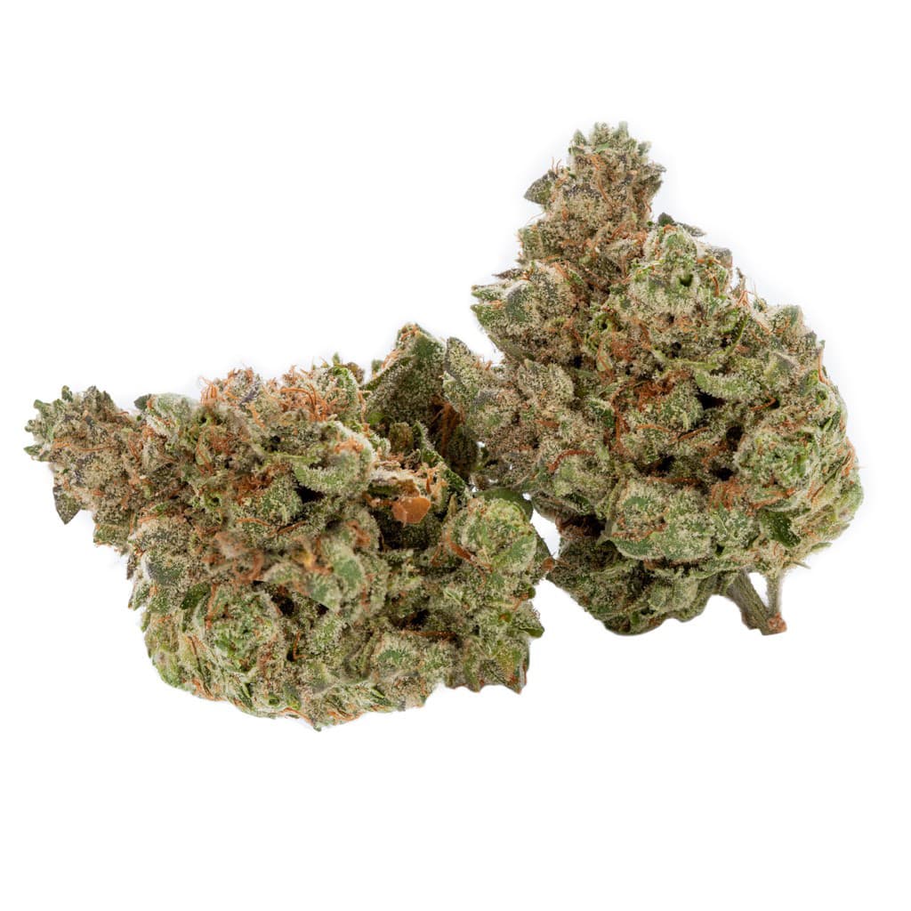 Cactus - Black Triangle (Triangle Kush x -88 G13 Hashplant) - 3.5g