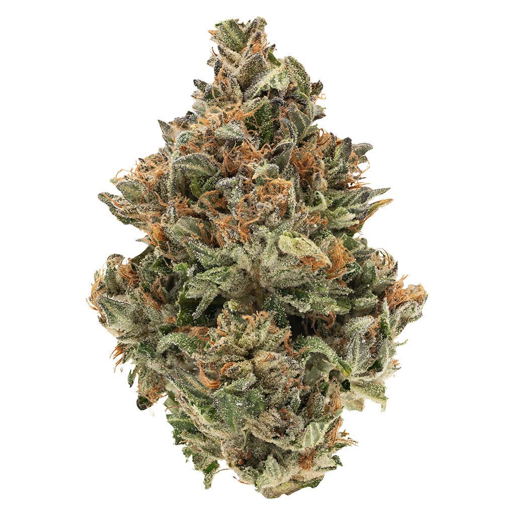 Simply Bare - BC Organic Fire OG (SFV OG Kush x OG Kush) - 3.5g