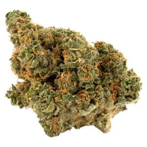 Palmetto - Romulan (North American Indica x White Rhino) - 3.5g