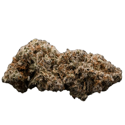 Melt - Honey Woo Tang (Cinderella 99 x Pugsbreath x OGKB) - 3.5g