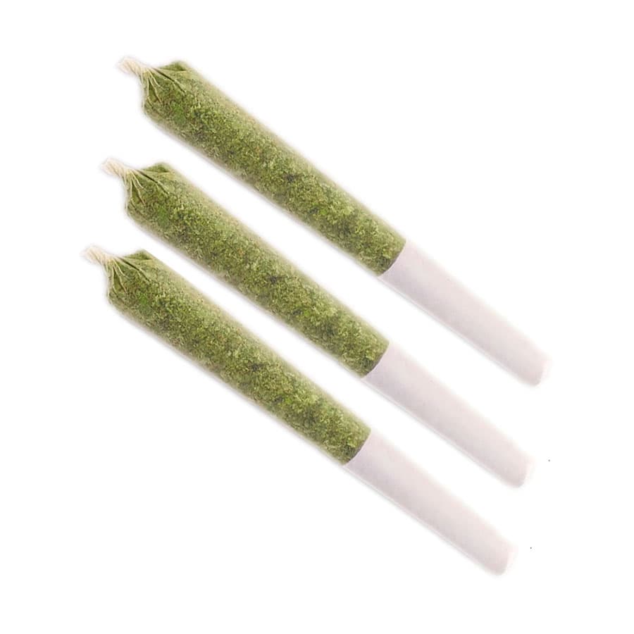 Msiku - Gelato 33 x Tropicana Cookies Pre-Rolls - 3x0.5g