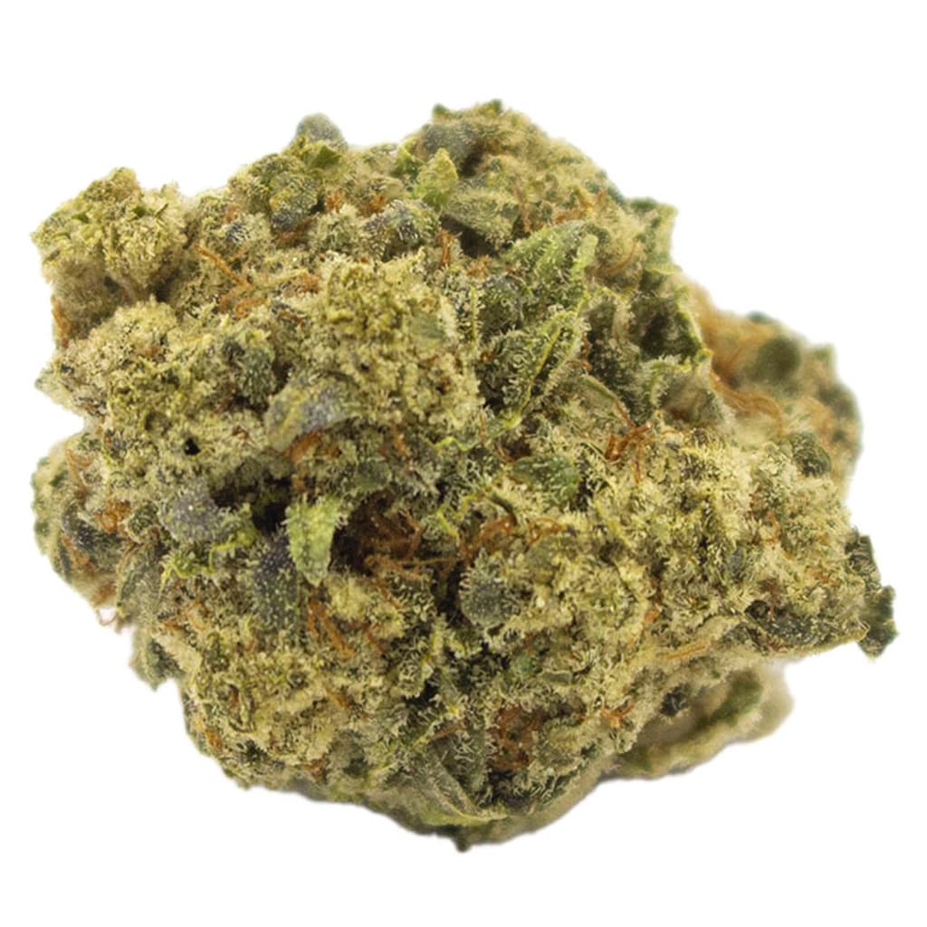 Terp Town Collective - Sherbhead (Sunset Sherbet x Headband) - 3.5g