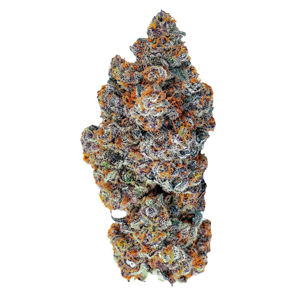 Tenzo - Espresso Gelato - 7g