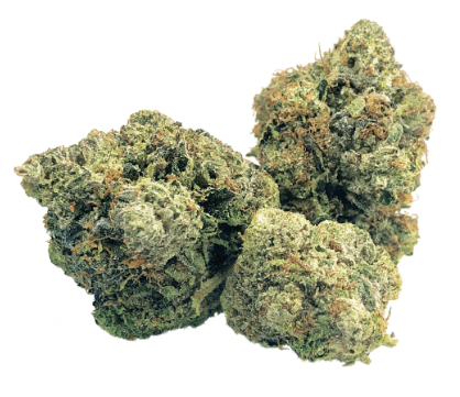 BC Black - Smoker Farms - Master Kush Ultra (G13 x OG Kush) - 3.5g