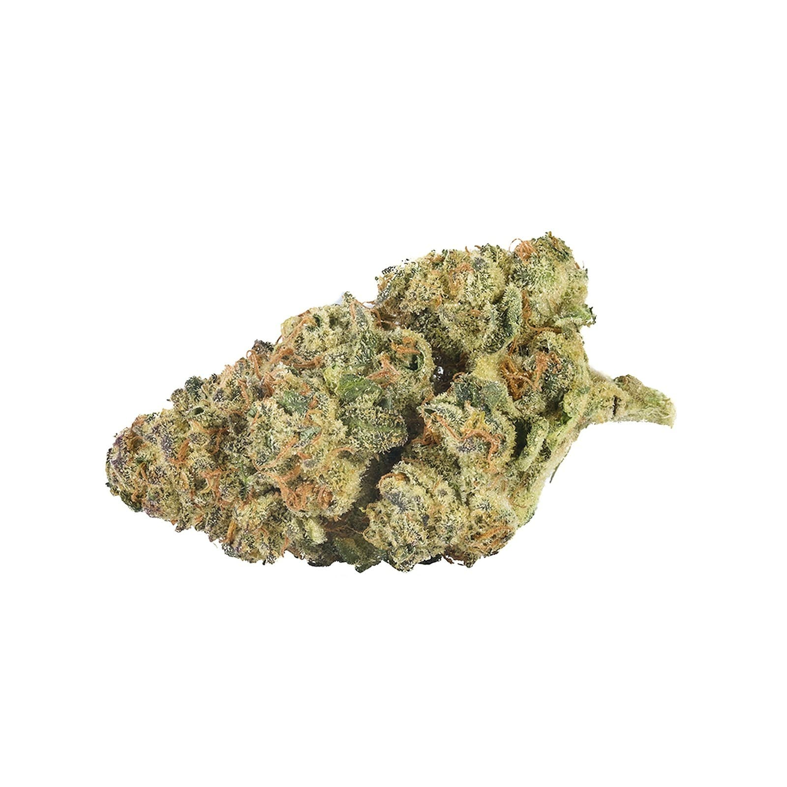 Back Forty - Mandarin Cookies (Forum Cut Cookies x Mandarin Sunset) - 3.5g