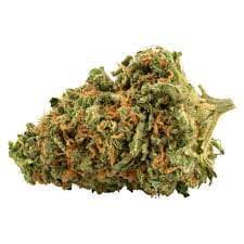 Palmetto - Platinum Cookies (OG Kush x Durban P) - 3.5g