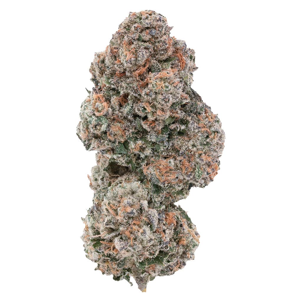 1964 - Sour Congo - 7g