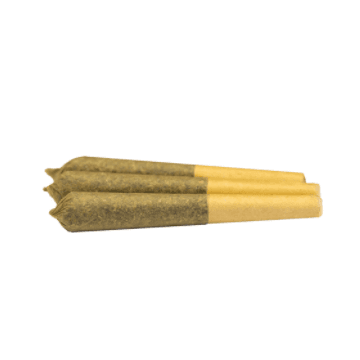 RAD - GLTO Infused Pre-Rolls - 3x0.5g