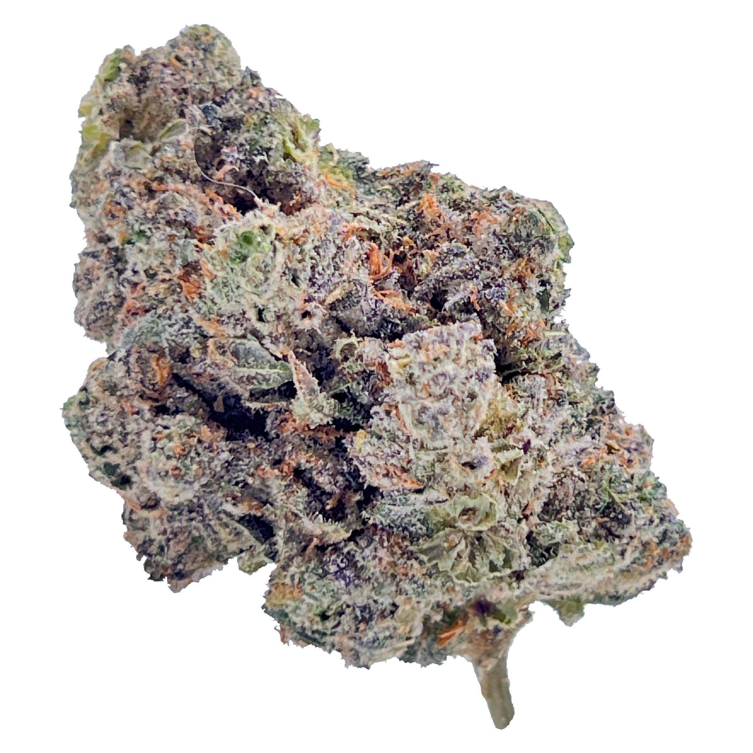 High Xotic - Royal Dive#4: Goofiez - 3.5g