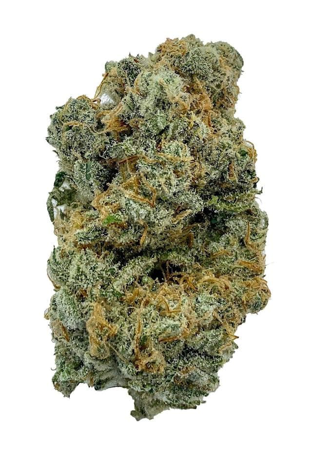 Kolab x Lotus - Tranquil Elephantizer (88 G13 Hashplant x Snow Lotus) - 3.5g