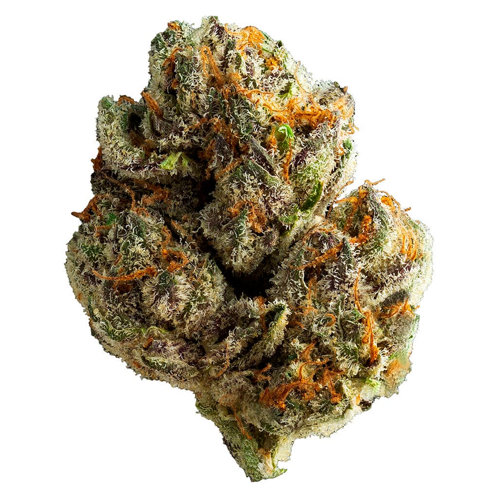 Muskoka Grown - Lakeside Kush (GMO [Chem91 x Forum Cut GSC]) - 28g