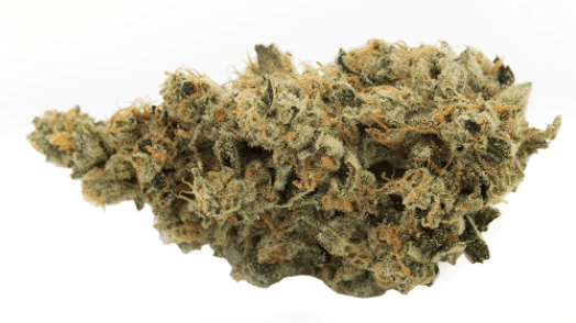 Sugarbud - GMO Cookies (Girl Scout Cookies x Chemdawg) - 3.5g