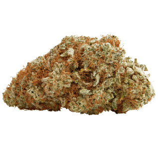 Palmetto - Tropicanna Gold (Tropicana Candy x Cotton Candy/Silver Haze x Tropicana Punch BX1) - 3.5g