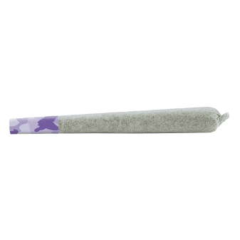 Shred - Dessert Storm Pre-Roll - 1x1g