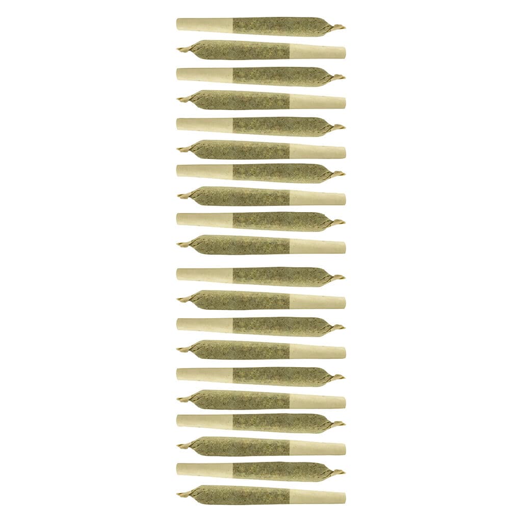 Sheeesh - Key Lime Pie (Girl Scout Cookies)  Pre-Roll - 7x0.5g