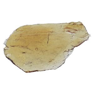 Little Farma - B. Banner Shatter ( OG Kush x Strawberry Diesel) - 1g
