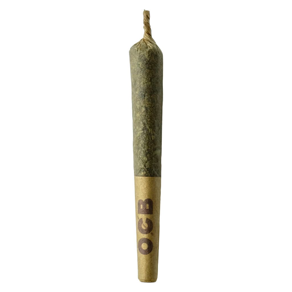 Sheeesh - Dubb Bubbs Cured Resin Infused Pre-rolls - 3x0.5g
