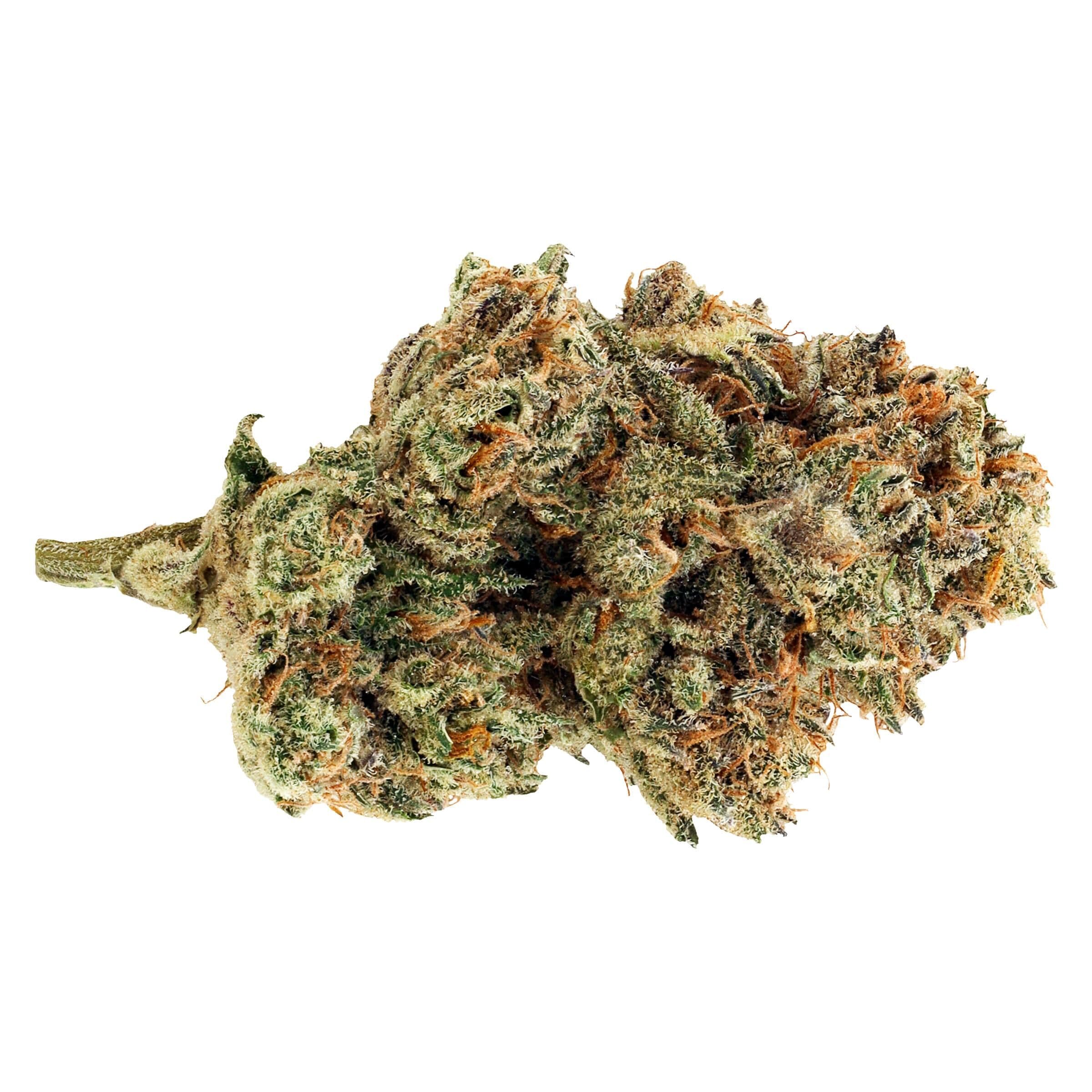 D*gg Lbs - The G-Pooch (Punchies Papaya) - 3.5g