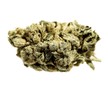SensiMila - Powdered Donuts (Jet Fuel Gelato x Orange Cookies) - 3.5g