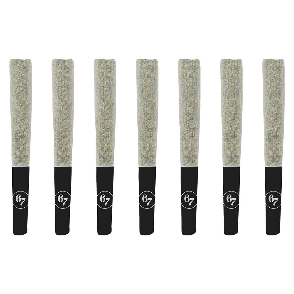 Sixty Seven Sins - Fishy Fingers Pre-Roll - 7x0.5g