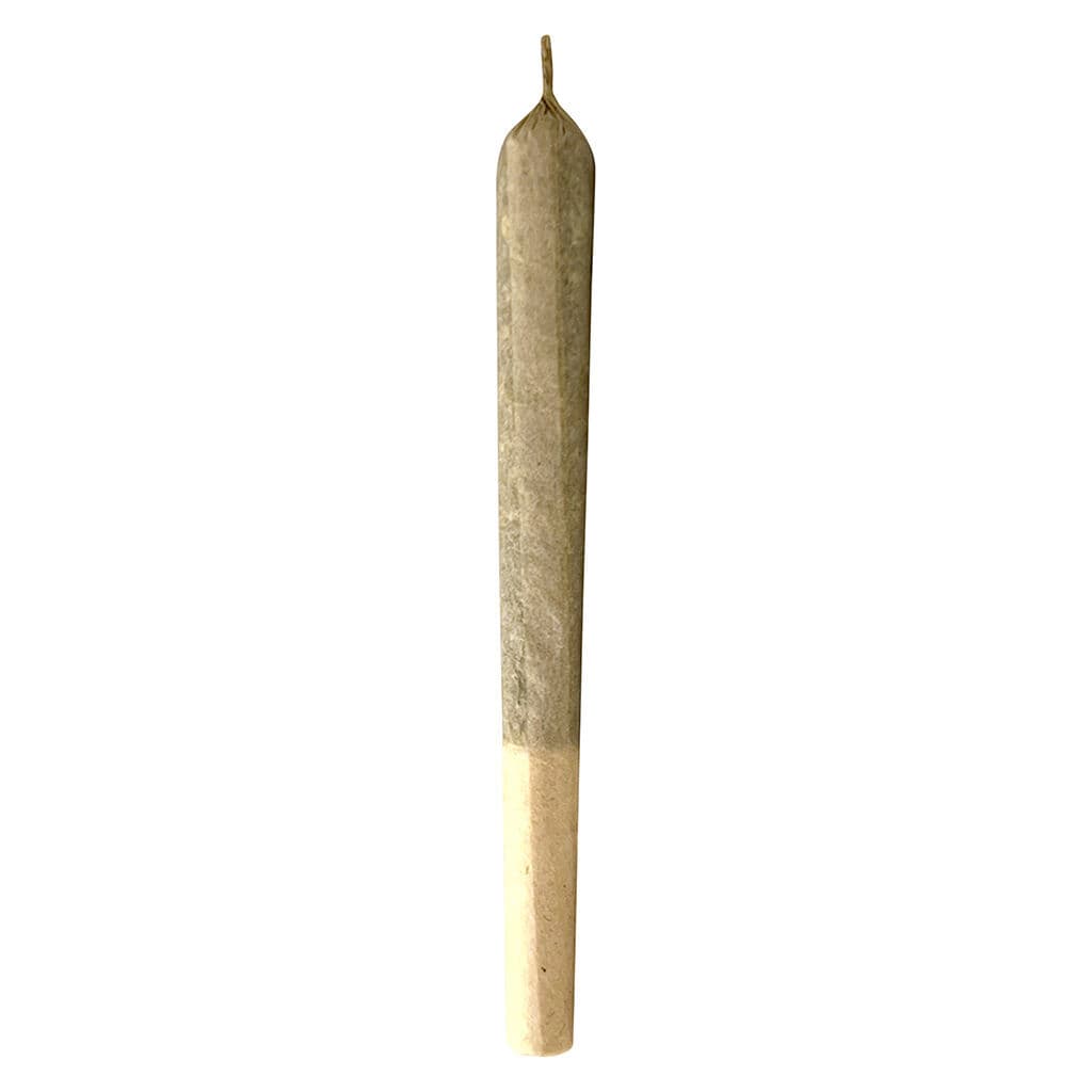 MTL - Jungl- Cake (Wedding Cake x White Fire #43) Pre-Rolls - 3x0.5g