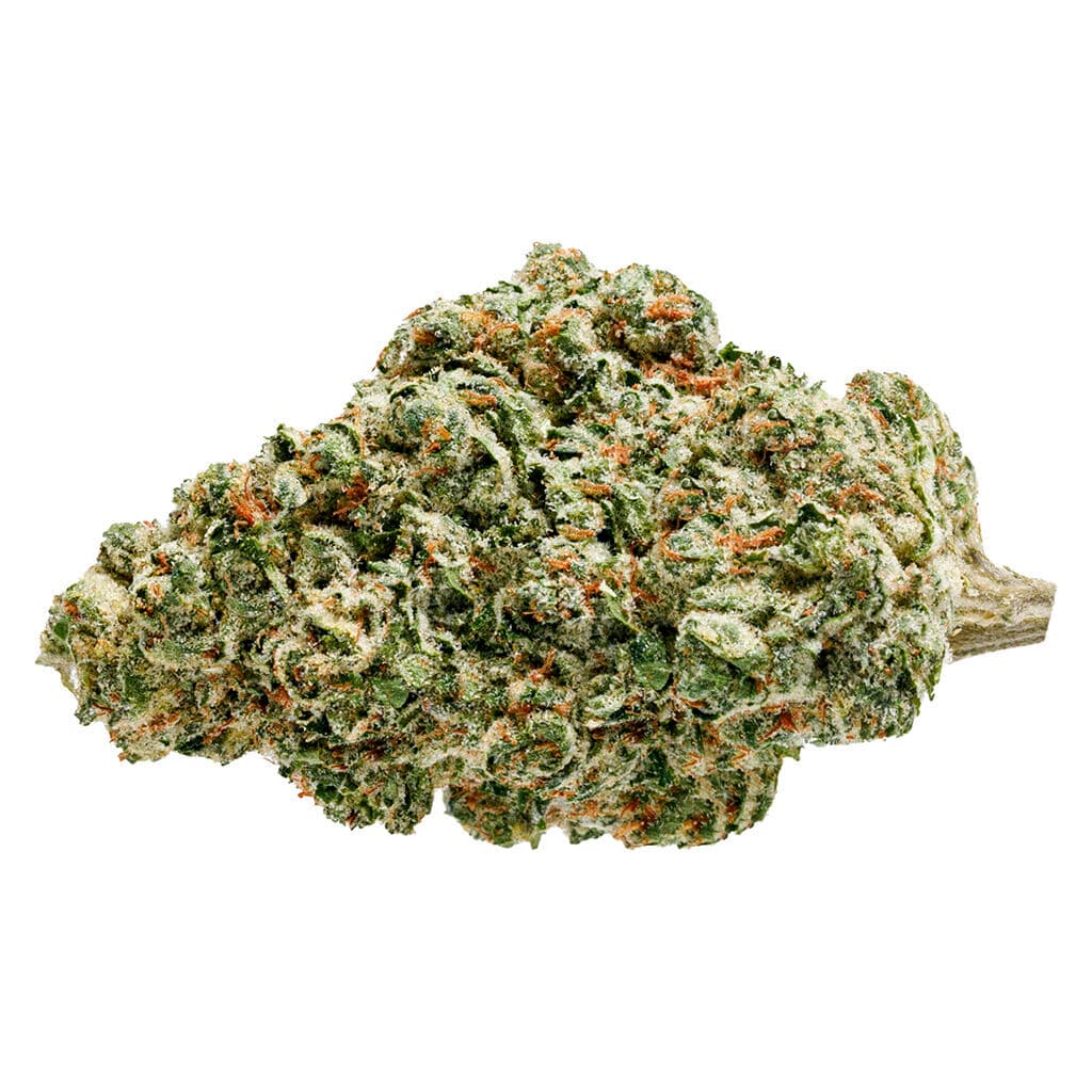 The Original Fraser Valley - White Fire OG (Fire OG x The White) - 28g