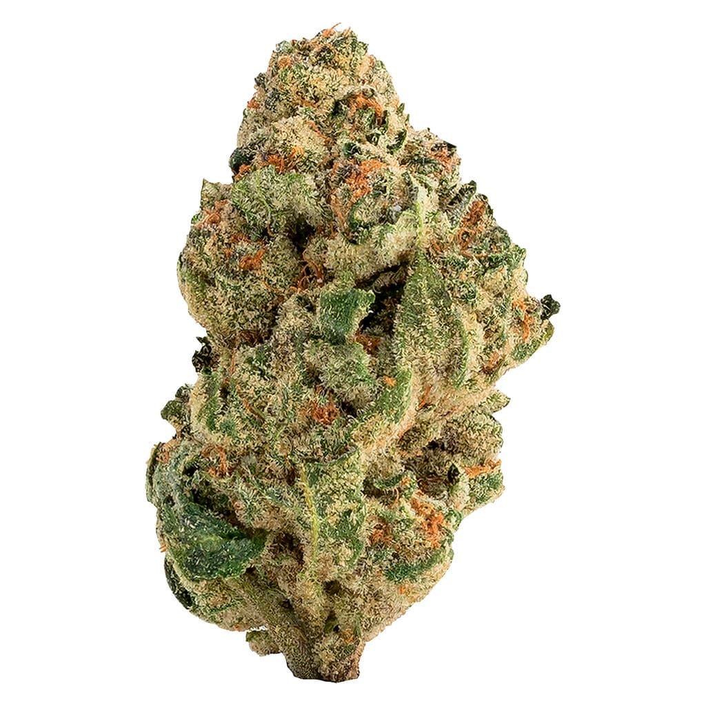 The Loud Plug - Venom OG (Venom OG x Train Wreck) - 14g