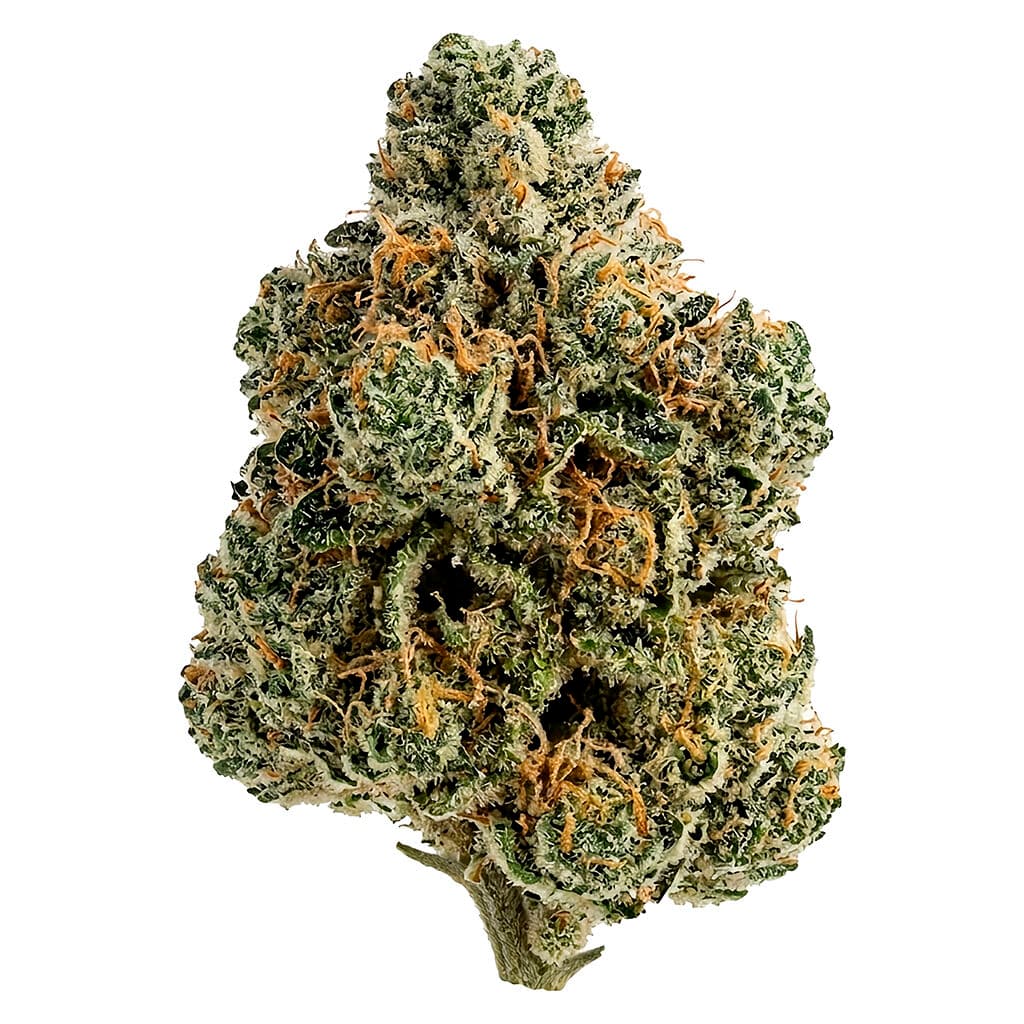 Tiki Madman - Breeders Stash - 7g