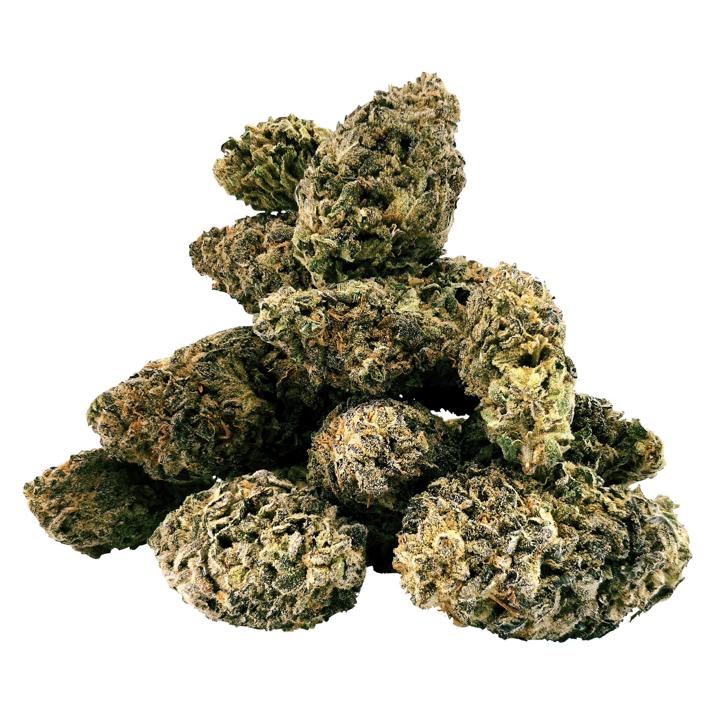 BC OZ - Tropical Infusion Craft Flower (Modified Bananas X Tropicana Cookies) - 28g