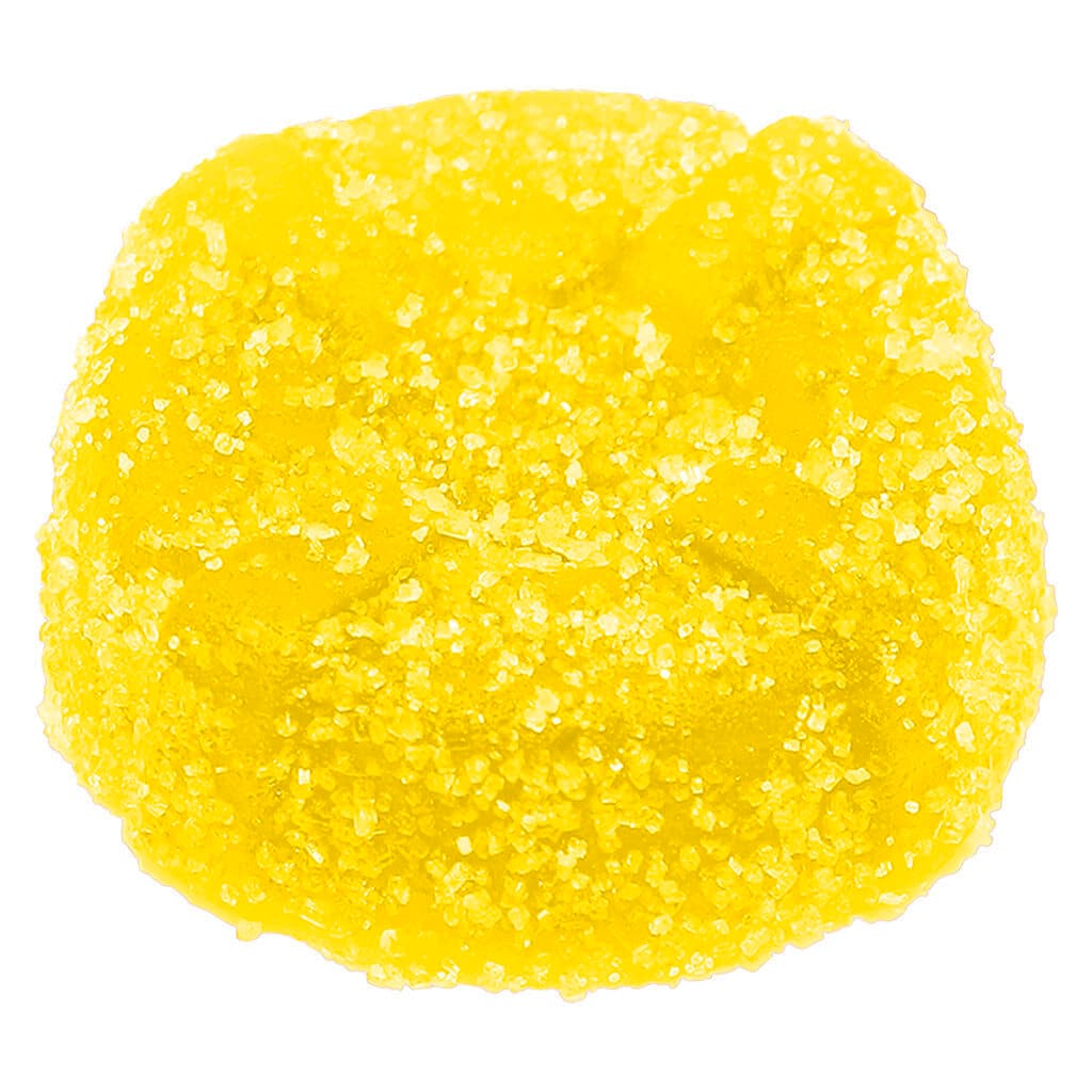 No Future - The Pectin Yellow One - 1 pack