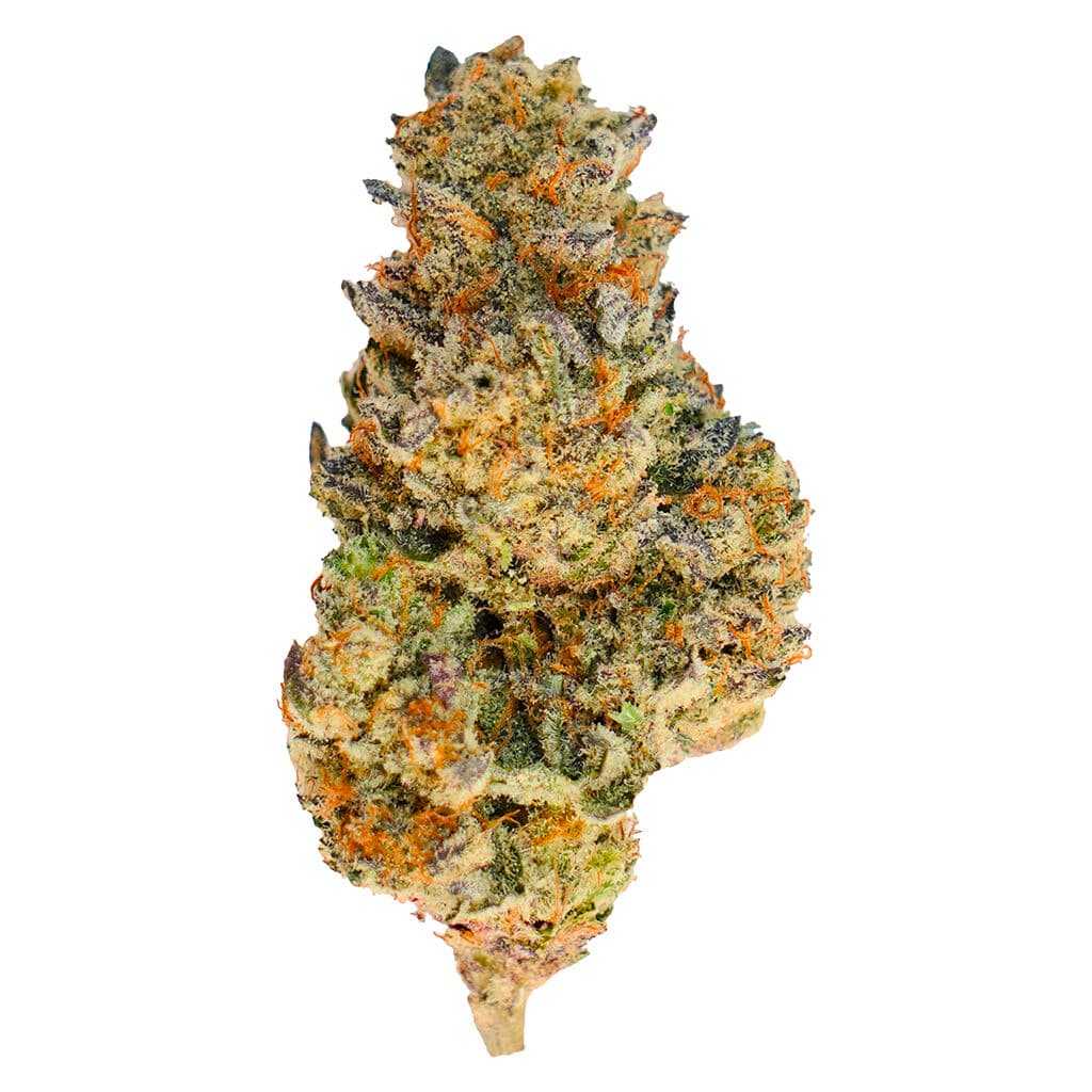 Tadu - Donny Burger (GMO x Han Solo Burger) - 3.5g