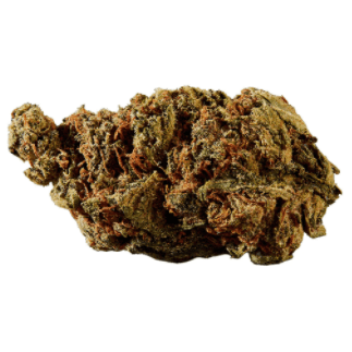 Versus - BC God Bud - 28g
