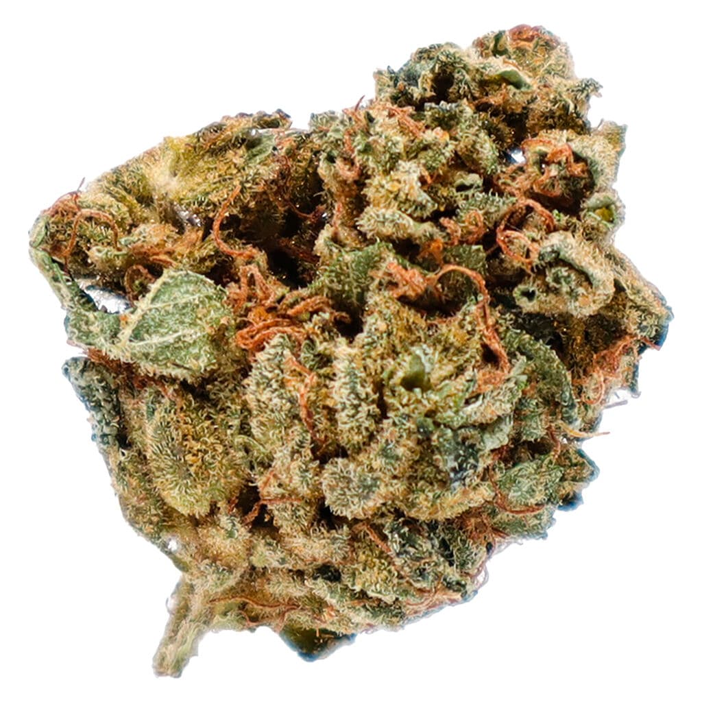 Potluck - Orange Layer Cake (Clementine x Purple Punch) - 7g