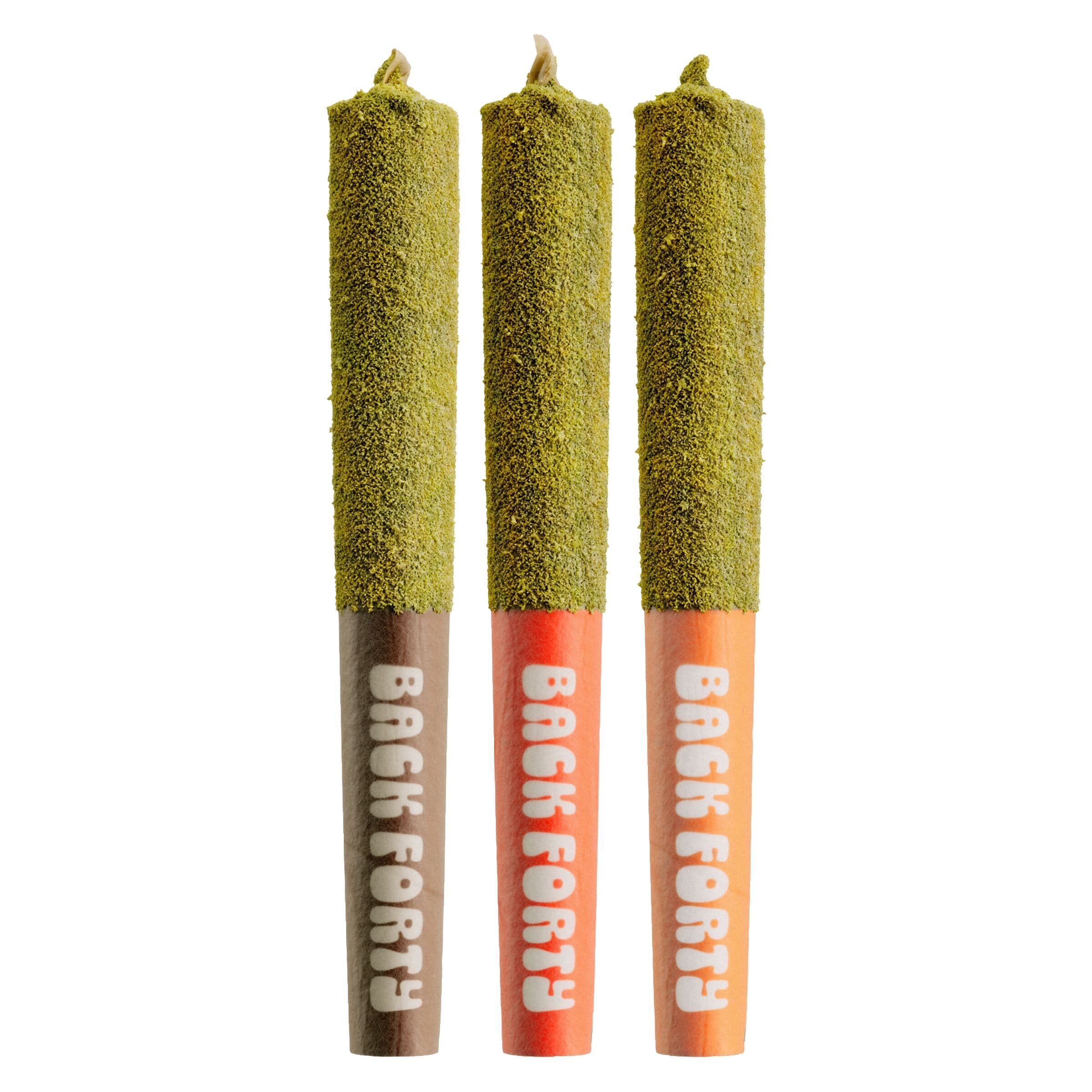 Back Forty - Kief-Coated Taster Pack Infused Pre-Rolls 3x0.5g