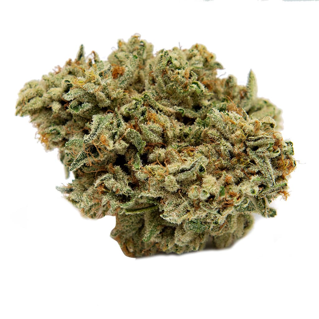 Color - Mint Cookie Kush (Animal Cookies x Platinum Kush Mints) - 3.5g