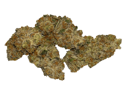 Natural History - Tally Man (Banana Dosi-do x Papaya) - 3.5g