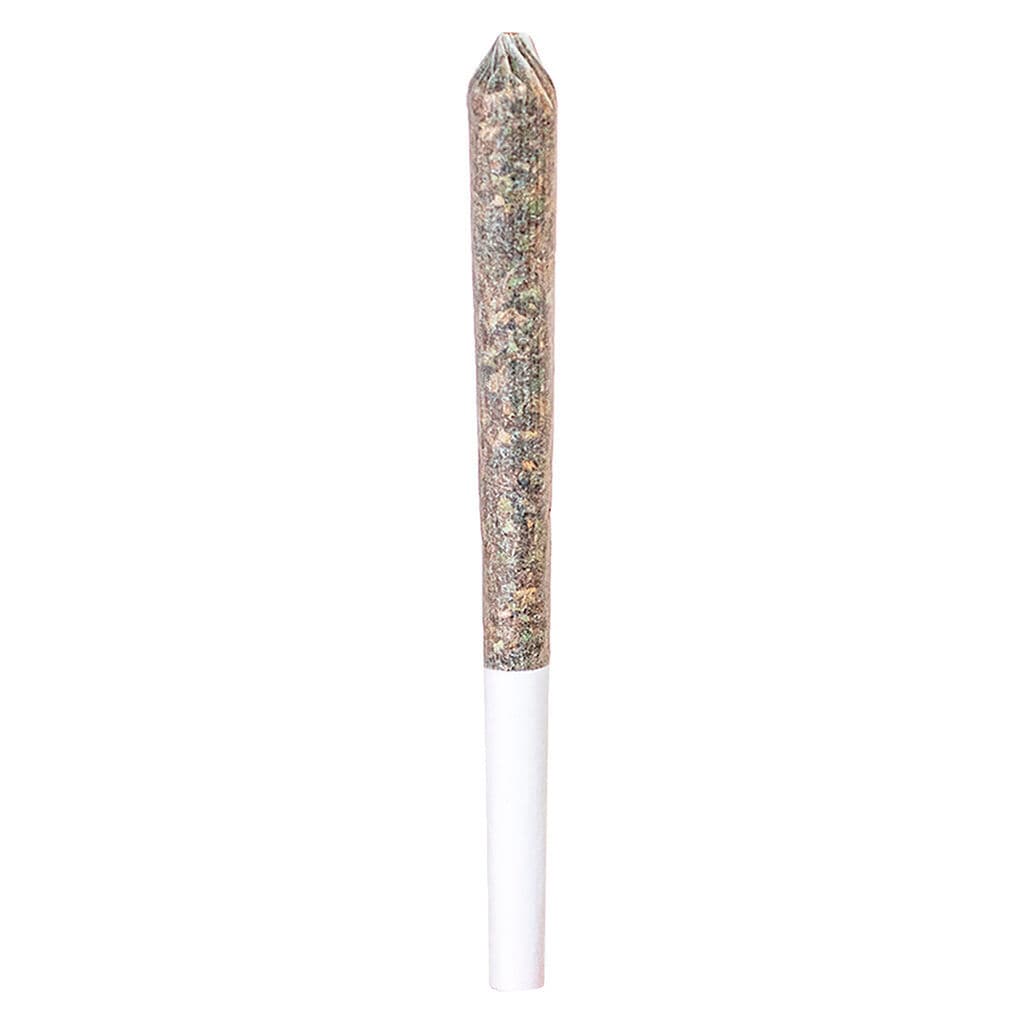 Station House - Northern Lights (Afghani x Thai) Pre-Roll - 1x0.5g