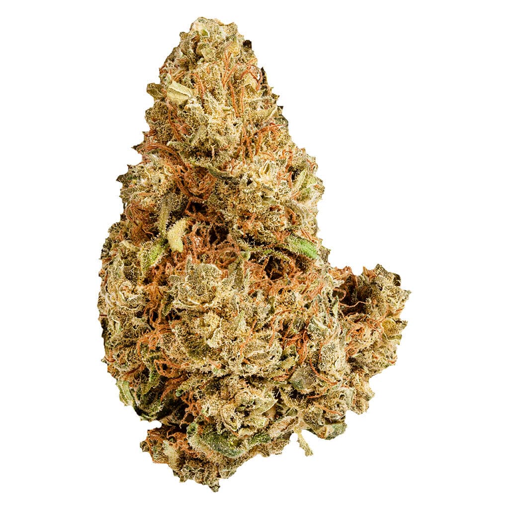 Versus - Purple Afghani (Purple Kush x Afghani) - 28g